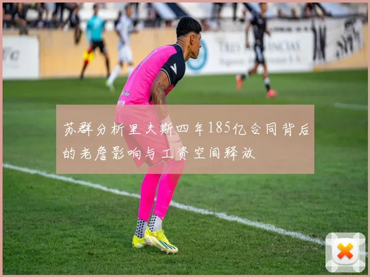 苏群分析里夫斯四年185亿合同背后的老詹影响与工资空间释放