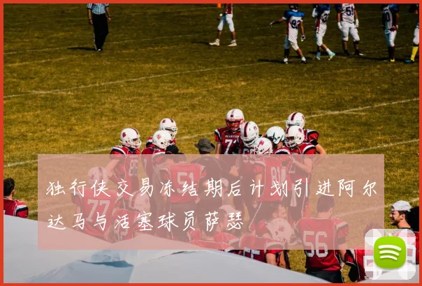 独行侠交易冻结期后计划引进阿尔达马与活塞球员萨瑟